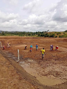 PROM  POND CONSTRUCTION AND GET FREE  FINGERLINGS AND ANOTHER  POND 📞 0785262563