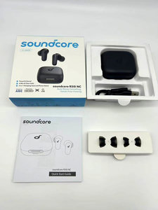 SoundCore Earbuds